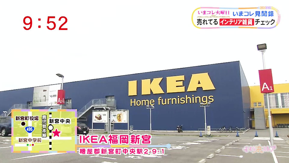 tij Somatische cel verzekering IKEA福岡新宮｜お店情報｜ももち浜ストア番組公式サイト - テレビ西日本